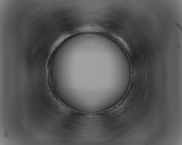 X0000093361419200710111300