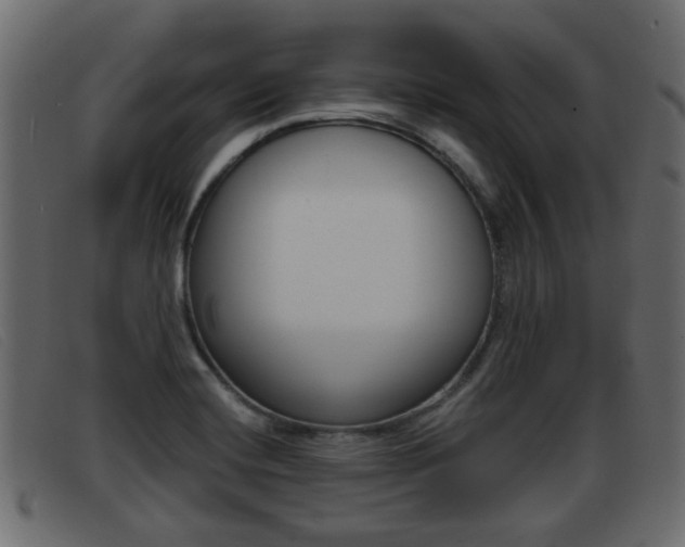 X0000093361420200710111300