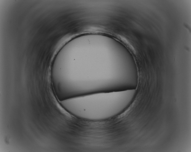 X0000093361421200710111300