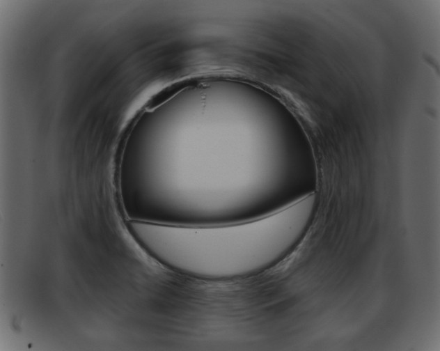 X0000093361422200710111300