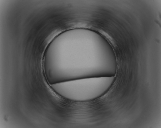 X0000093361423200710111300