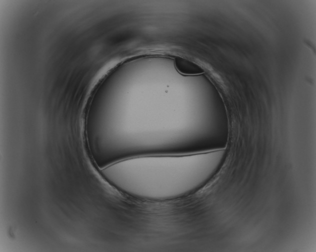 X0000093361424200710111300
