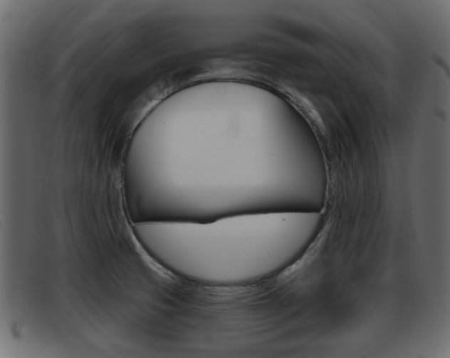 X0000093361425200710111300