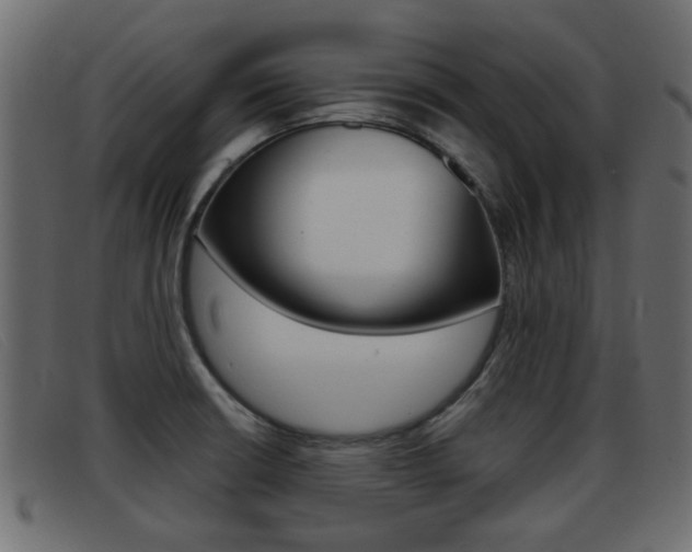 X0000093361426200710111300