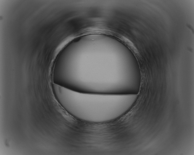 X0000093361427200710111300