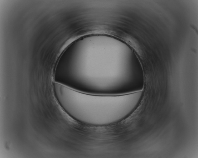 X0000093361428200710111300