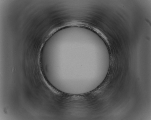 X0000093361429200710111300