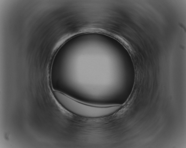X0000093361430200710111300