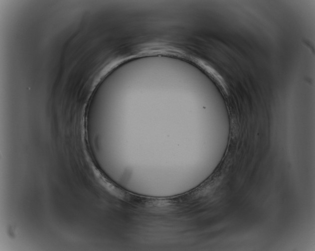 X0000093361431200710111300