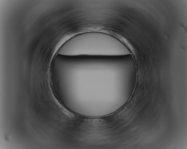 X0000093361432200710111300