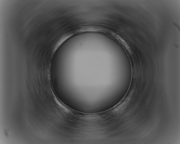 X0000093361433200710111300