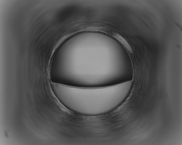X0000093361436200710111300