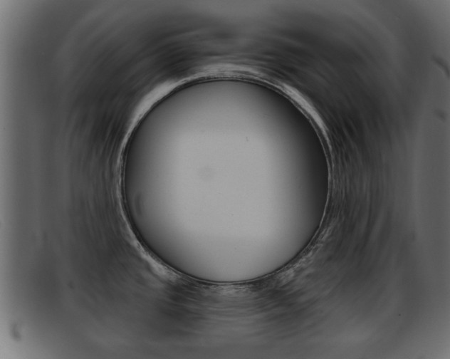 X0000093361437200710111300