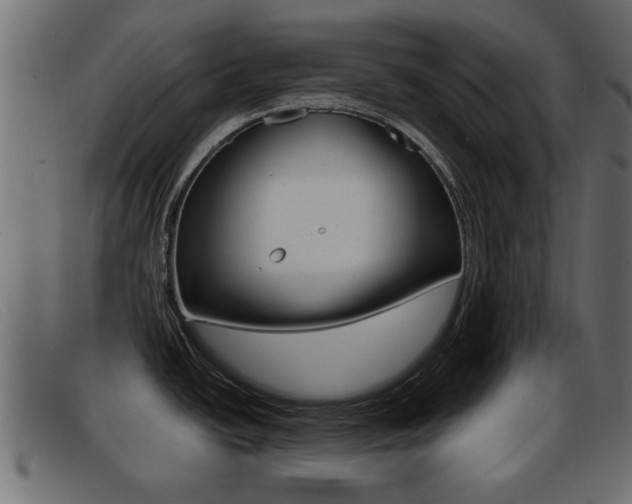 X0000093361438200710111300