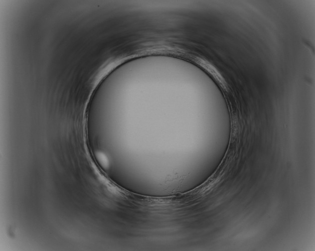 X0000093361439200710111300