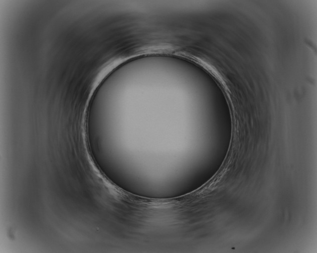 X0000093361440200710111300