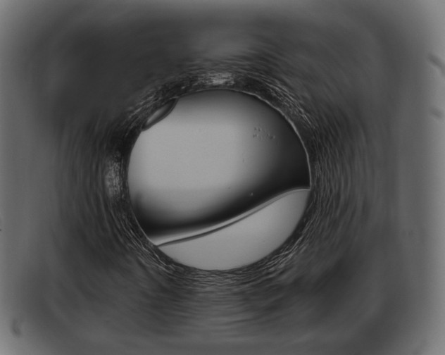 X0000093361442200710111300