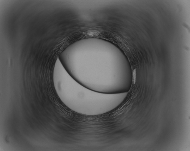 X0000093361443200710111300