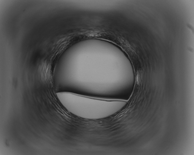 X0000093361444200710111300