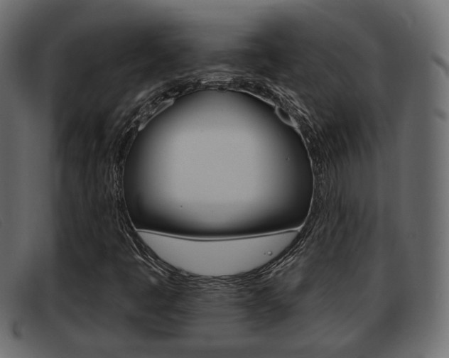 X0000093361445200710111300