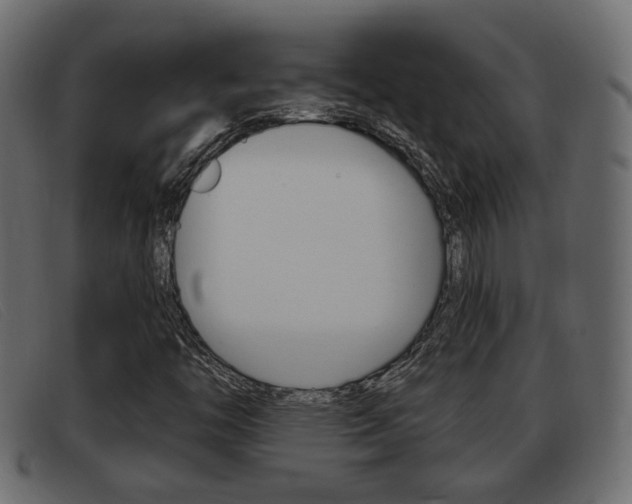 X0000093361446200710111300