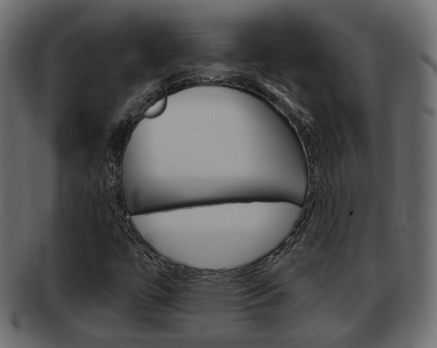 X0000093361447200710111300