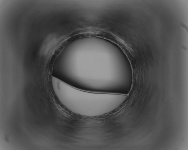 X0000093361448200710111300
