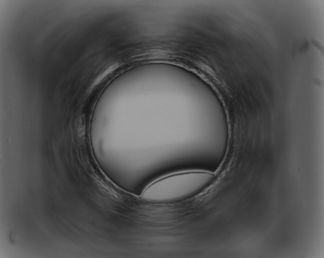 X0000093361450200710111300