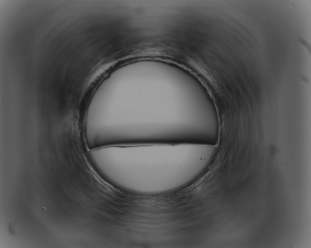 X0000093361452200710111300