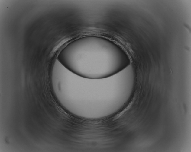 X0000093361453200710111300
