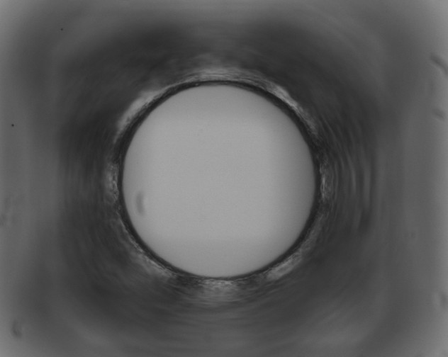 X0000093361454200710111300