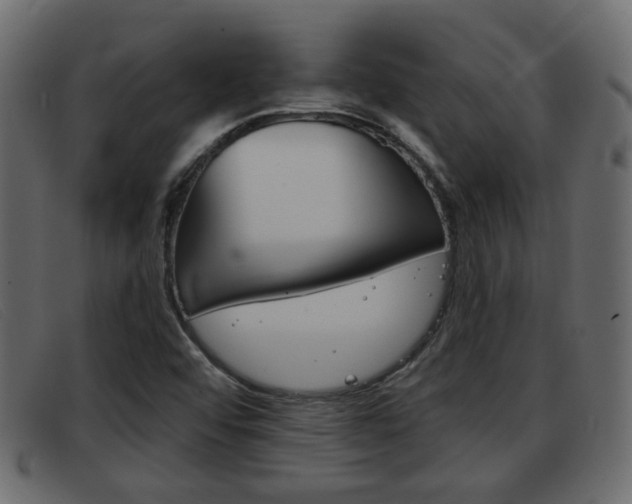X0000093361456200710111300