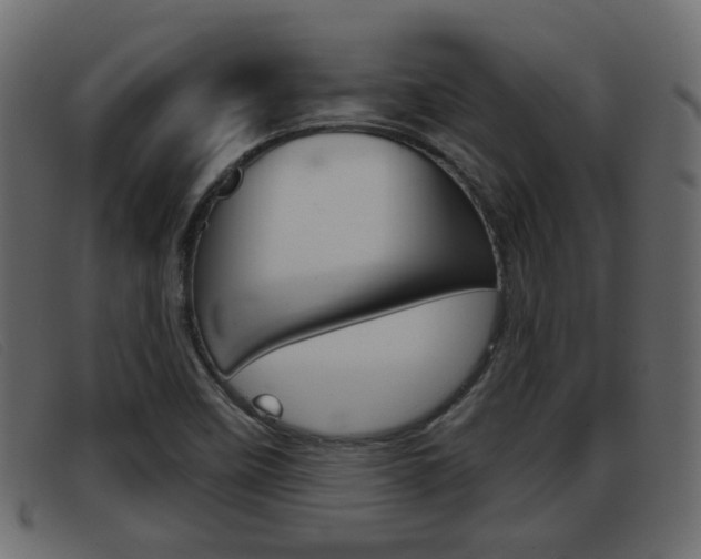 X0000093361458200710111300