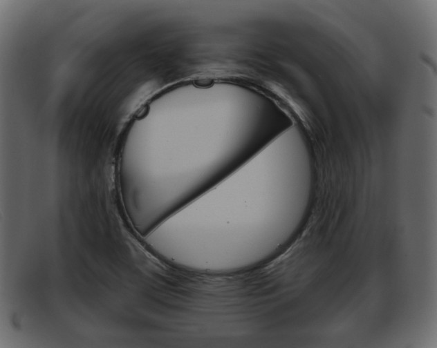 X0000093361459200710111300