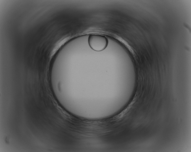 X0000093361461200710111300