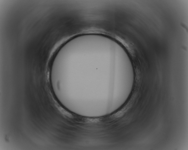 X0000093361462200710111300