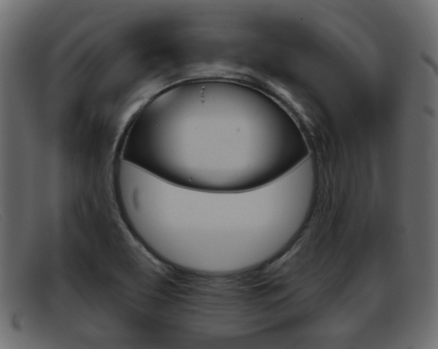 X0000093361463200710111259