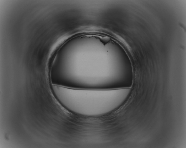 X0000093361464200710111259