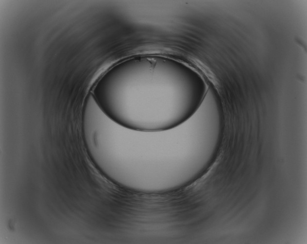 X0000093361465200710111259