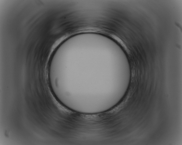 X0000093361466200710111259