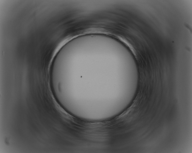 X0000093361467200710111259