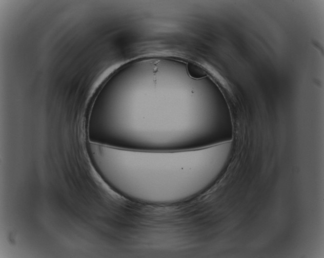 X0000093361468200710111259