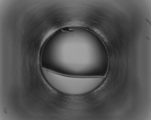 X0000093361469200710111259