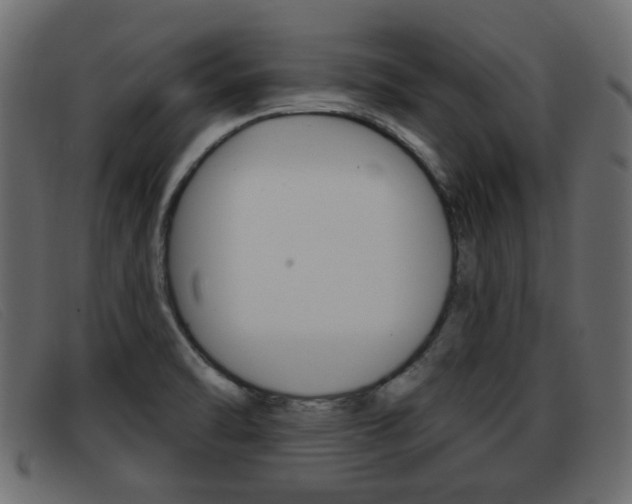 X0000093361470200710111259