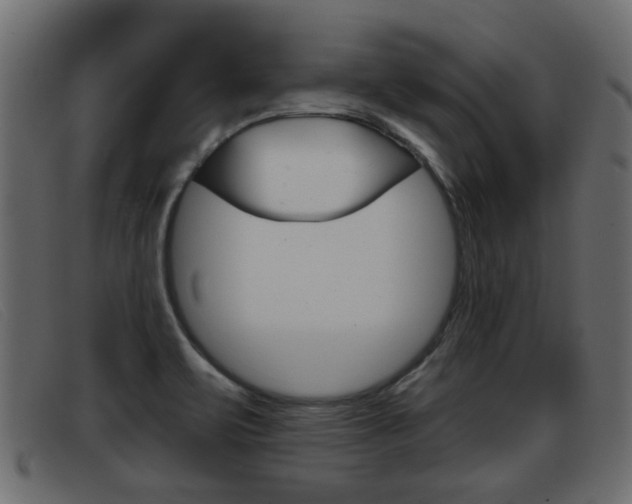 X0000093361471200710111259
