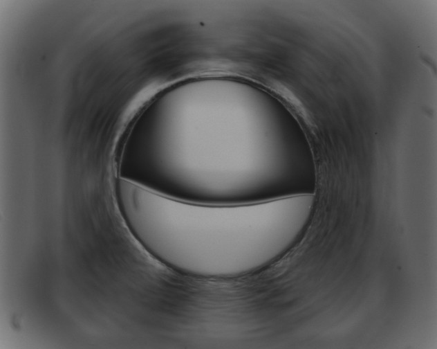 X0000093361472200710111259