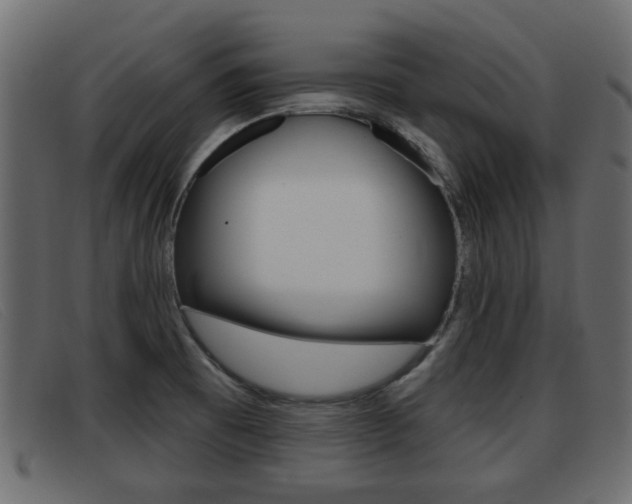 X0000093361473200710111259