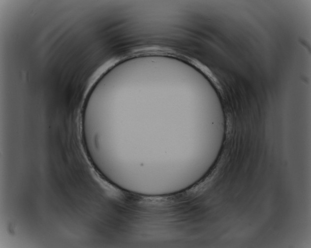 X0000093361474200710111259