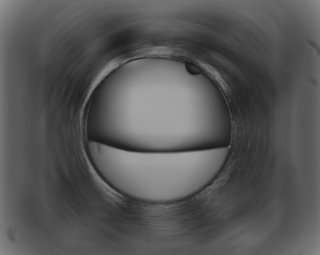 X0000093361475200710111259