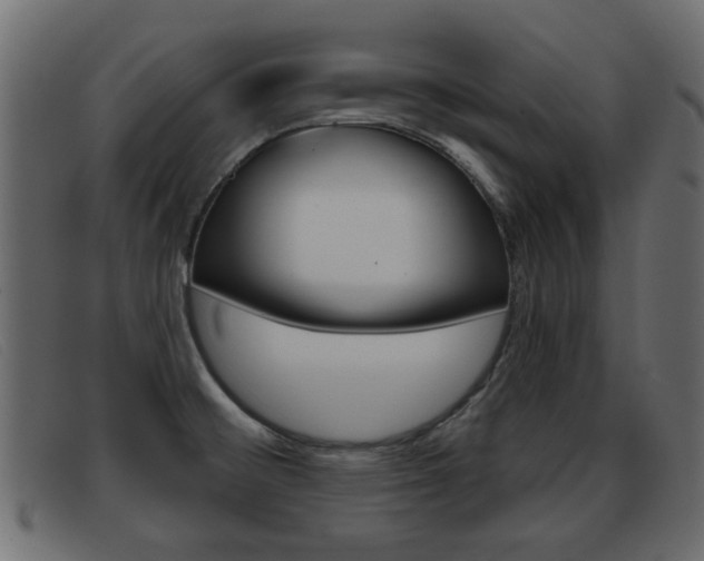 X0000093361476200710111259